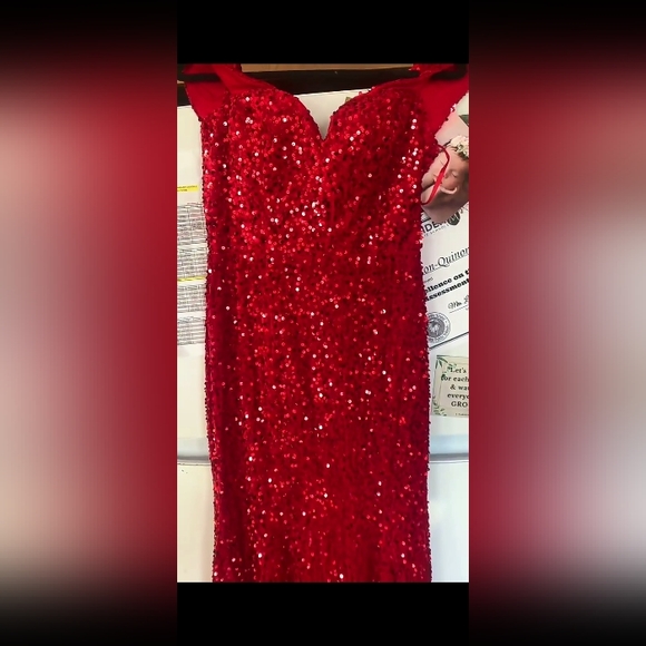 Size 8 Velvet Sequin Mermaid Gown | Color: Red | Size: 8 | Victoriarose_D's Closet